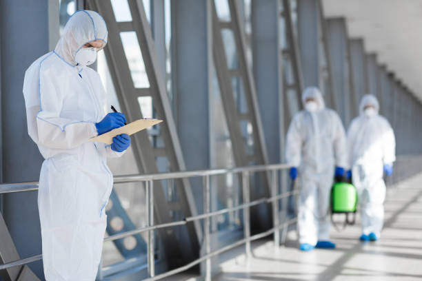 Best Water Damage & Mold Remediation  in Stevensville, MD