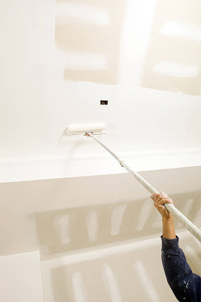 Mold Remediation for Vacation Homes in Stevensville, MD