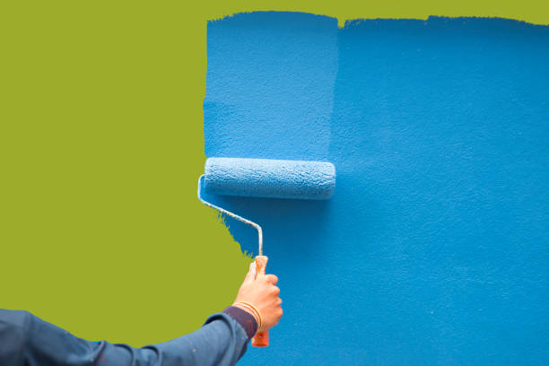 Best Attic Mold Removal  in Stevensville, MD